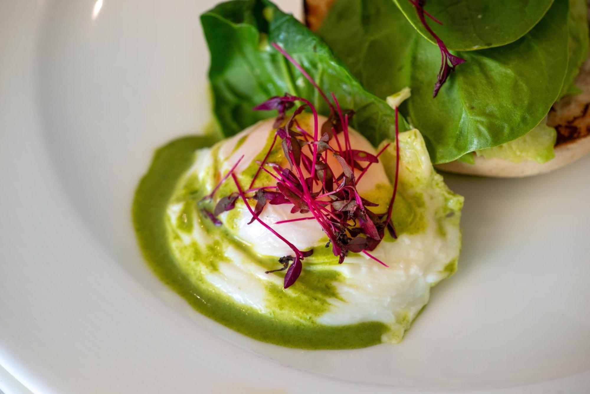 Nixe Palace Palma de Mallorca Eksteriør bilde A salad with microgreens